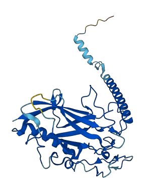ATP4B 3D structure
