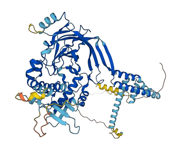 SCNN1B 3D structure