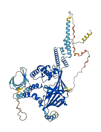 SCNN1G 3D structure