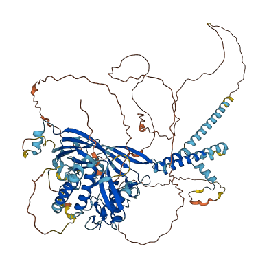 SCNN1D 3D structure