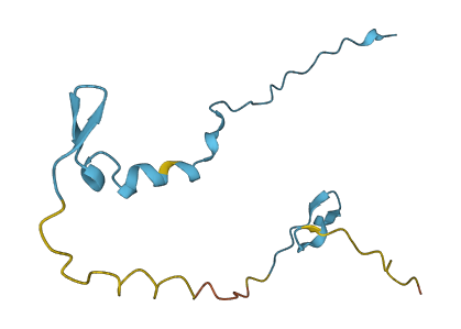 DAP 3D structure