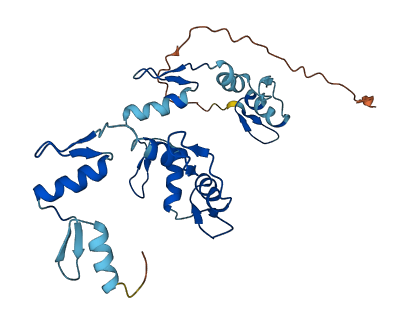 ZNF80 3D structure