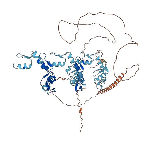 ZNF81 3D structure