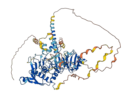 MMP15 3D structure