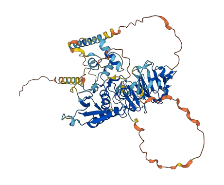 MMP16 3D structure