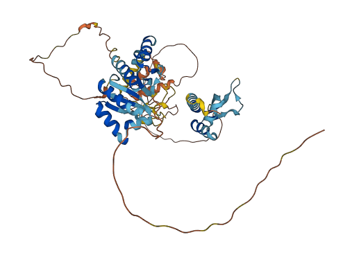 NOVA1 3D structure