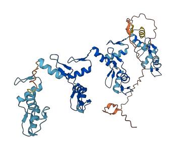ZNF83 3D structure