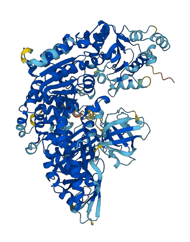 DNA2 3D structure