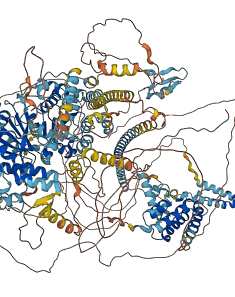 SMARCA4 3D structure