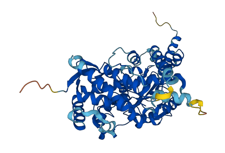 Cyp3a9 3D structure