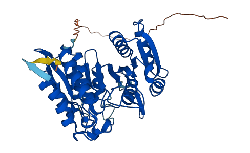 IDH3G 3D structure