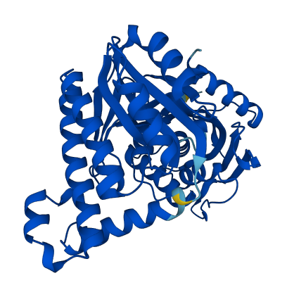 GALK1 3D structure