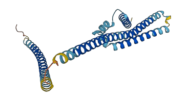 BCAP31 3D structure
