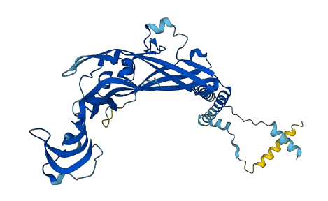 P2RX1 3D structure