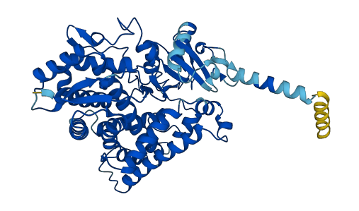CYP2J2 3D structure
