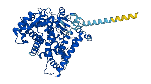 Cyp2j3 3D structure