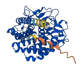 RENBP 3D structure