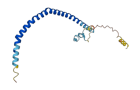 CAV2 3D structure