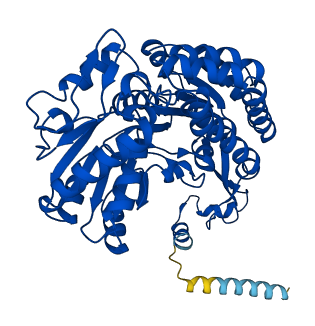 ALDH3A2 3D structure