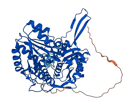 ALDH5A1 3D structure