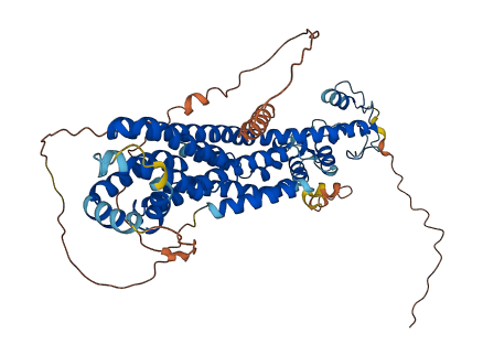 GPC3 3D structure