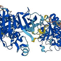 HSD17B4 3D structure