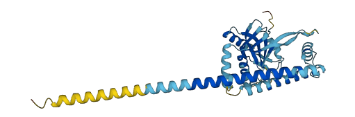 PSMD7 3D structure
