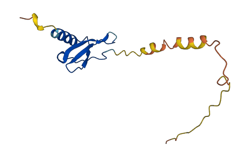 Ccl9 3D structure