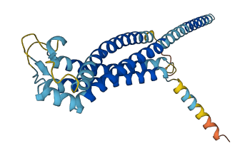 GPM6A 3D structure