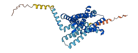 Ccr1l1 3D structure