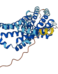 CCR3 3D structure