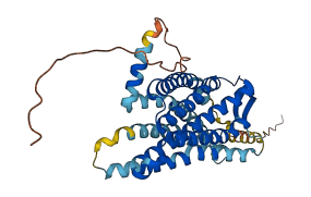 CCR4 3D structure