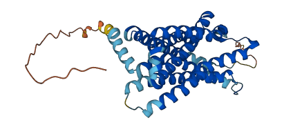 CCR5 3D structure