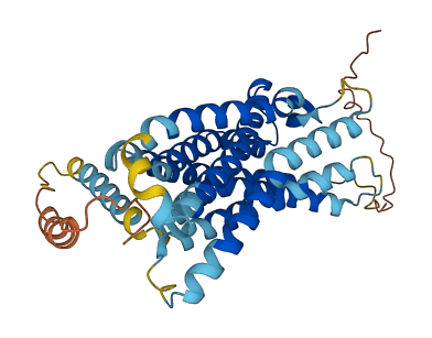 CCR6 3D structure