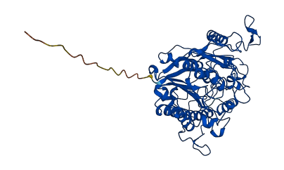 SGSH 3D structure