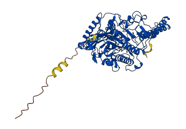 ARSL 3D structure