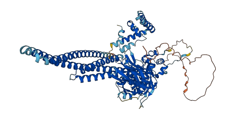 STAT5B 3D structure