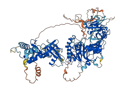 USP11 3D structure