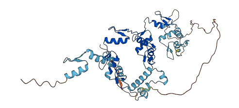 ZNF157 3D structure