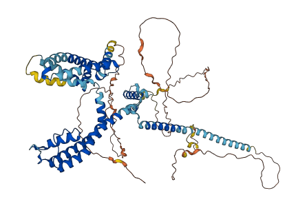 KCNQ1 3D structure