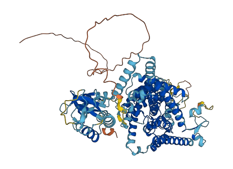 CLCN3 3D structure