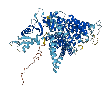 CLCN4 3D structure