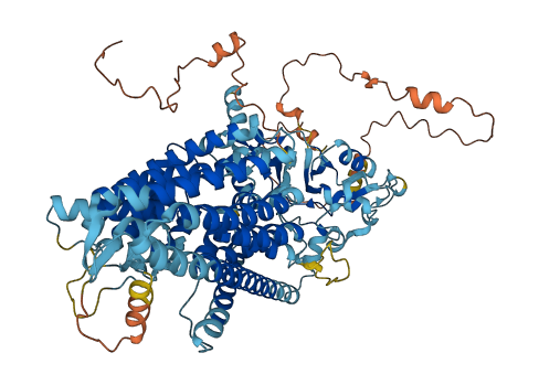 CLCN6 3D structure