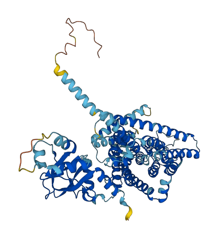 CLCNKA 3D structure