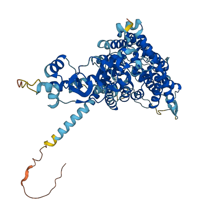 CLCNKB 3D structure