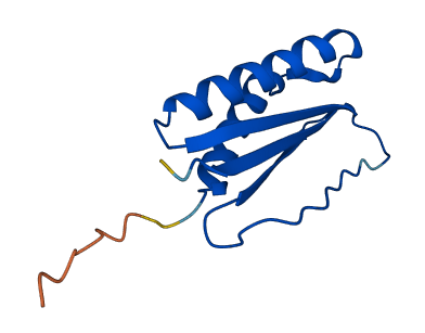 DYNLT3 3D structure
