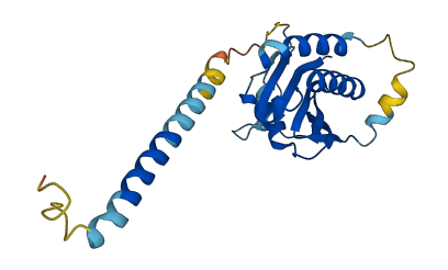VAMP7 3D structure