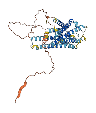 GPR143 3D structure