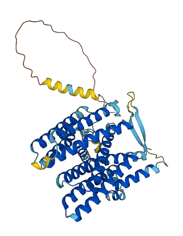 XK 3D structure