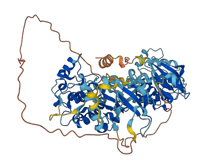 RPS6KA3 3D structure